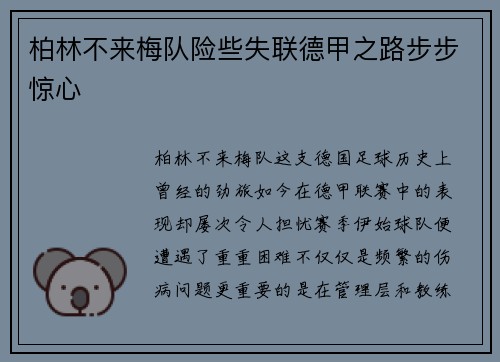 柏林不来梅队险些失联德甲之路步步惊心