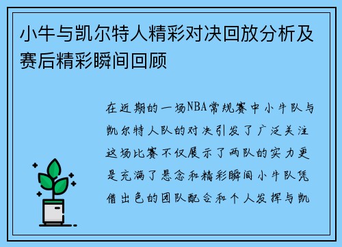 小牛与凯尔特人精彩对决回放分析及赛后精彩瞬间回顾