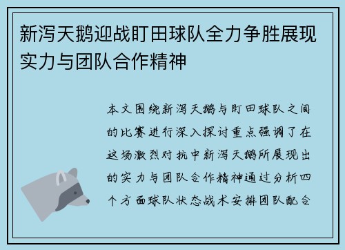 新泻天鹅迎战盯田球队全力争胜展现实力与团队合作精神