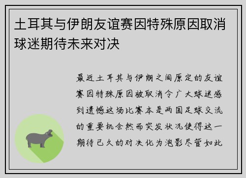 土耳其与伊朗友谊赛因特殊原因取消球迷期待未来对决