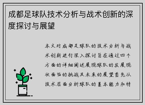 成都足球队技术分析与战术创新的深度探讨与展望