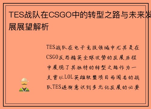 TES战队在CSGO中的转型之路与未来发展展望解析