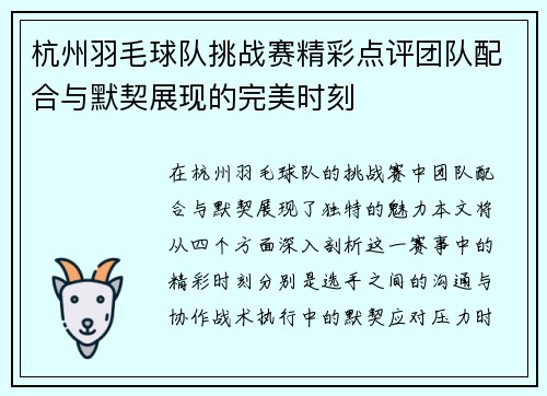 杭州羽毛球队挑战赛精彩点评团队配合与默契展现的完美时刻