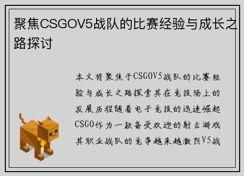 聚焦CSGOV5战队的比赛经验与成长之路探讨
