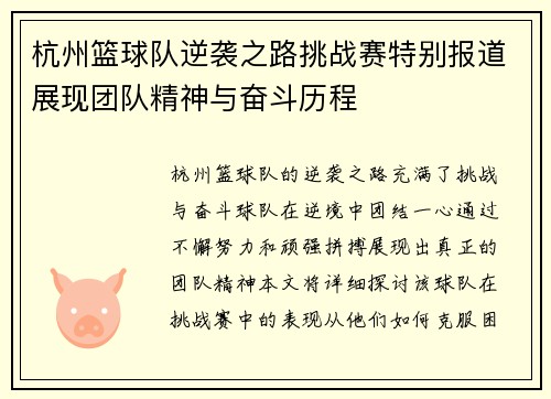 杭州篮球队逆袭之路挑战赛特别报道展现团队精神与奋斗历程